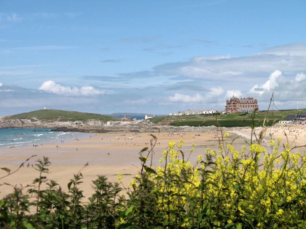 Bed and Breakfast Cormorant House New Quay Exterior foto